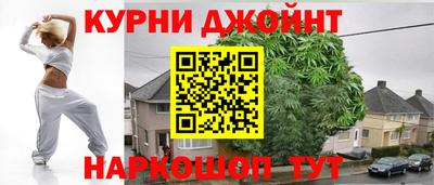 сатива Малгобек