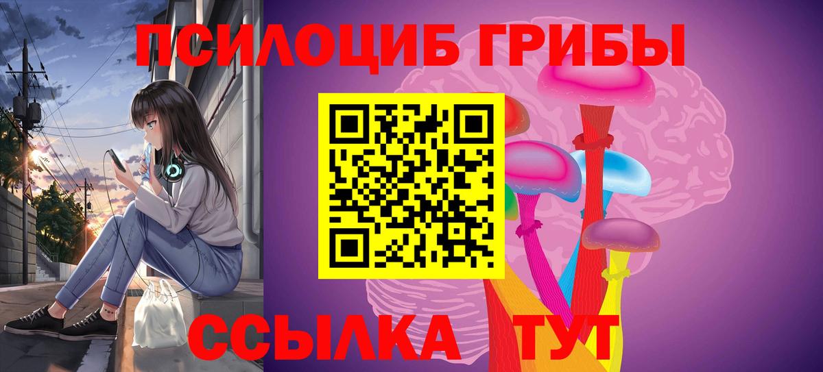 Горячий Ключ  Псилоцибиновые грибы ЛСД  Вход с VPN  Псилоцибиновые грибы Psilocybine cubensis 