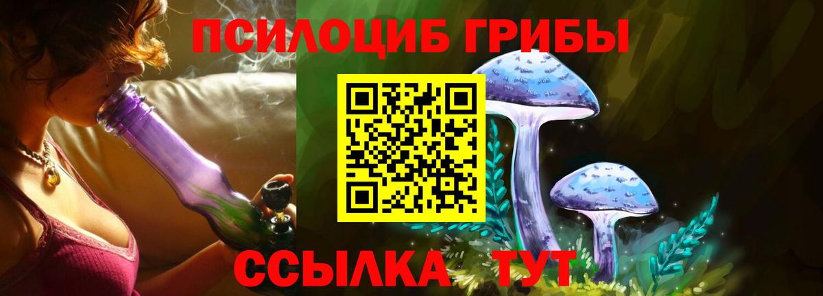 Галлюциногенные грибы ЛСД Горячий Ключ